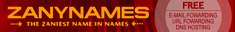 Zanynames | Domain Names for Ambitious Websites
